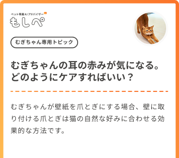 AIからのアドバイス表示画面のスクリーンショット
